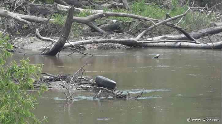 Work begins to clean Comite River for first time in 59 years
