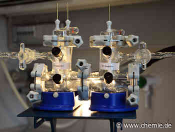 Vom Treibhausgas zum Mehrwertprodukt