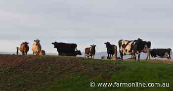 Why reducing methane emissions is an opportunity for dairy