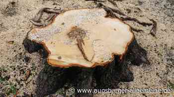 Wanderausstellung "Grün kaputt" kommt in einer Neuauflage