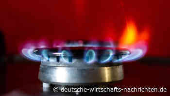 Ungarn profitiert weiter von billigem Erdgas aus Russland