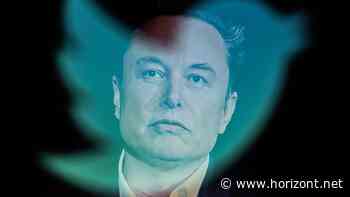 Label "staatlich finanziert": Twitter-Chef Elon Musk lenkt im Konflikt mit BBC ein