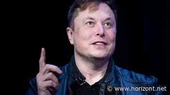 Seit Amtsübernahme von Elon Musk: Twitter-Belegschaft ist von 8000 auf 1500 Mitarbeitende geschrumpft