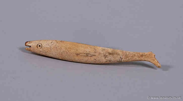 200 year old fish found under the House of Lords