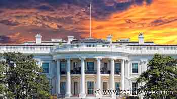 Potential Outcomes of the US National Cybersecurity Strategy