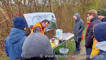 Auf Artefaktsuche in der Samtgemeinde Sickte