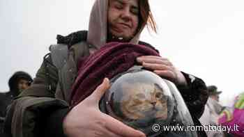 Profughi ospiti delle famiglie romane: il modello dell'ospitalità diffusa funziona