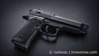 Gun shop owners say gun ownership includes keeping guns away from children