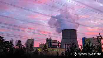 „Der deutsche Sonderweg ist ein Irrweg, keiner in der Welt macht diesen Blödsinn“