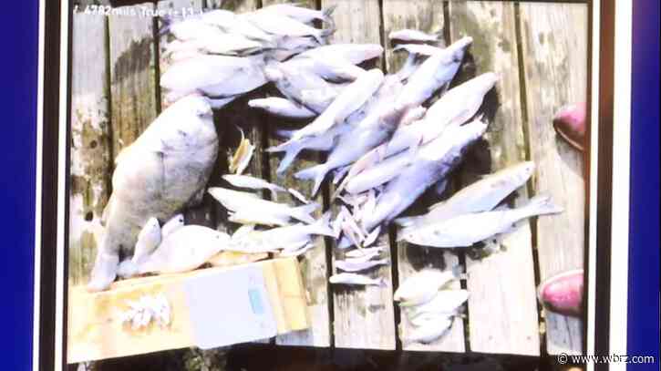 Livingston Parish residents hope legislature will halt plans to store CO2 under Lake Maurepas