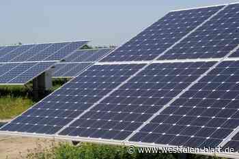 Bünde: Grüne fordern städtischen Klimacheck