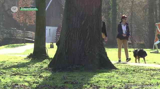 Goed nieuws voor hooikoortspatiënten: Jaga ontwikkelt ventilatiesysteem om pollen uit de lucht te halen