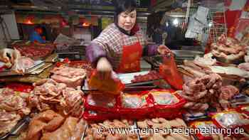 H3N8-Vogelgrippe-Infektion bei Mensch in China