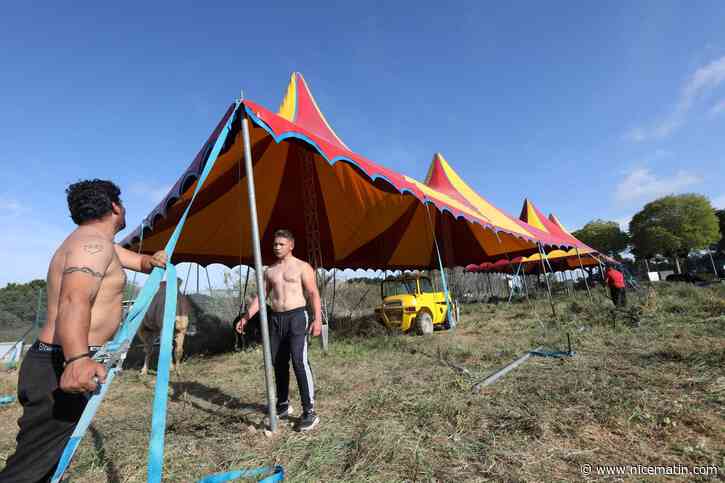 Tout juste installé, le cirque Zavatta sommé par la préfecture de quitter Antibes avant le lundi 17 avril