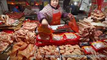 H3N8-Vogelgrippe-Infektion bei Mensch in China