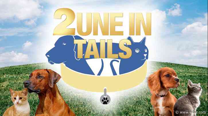2une In Tails: Adopt Connie