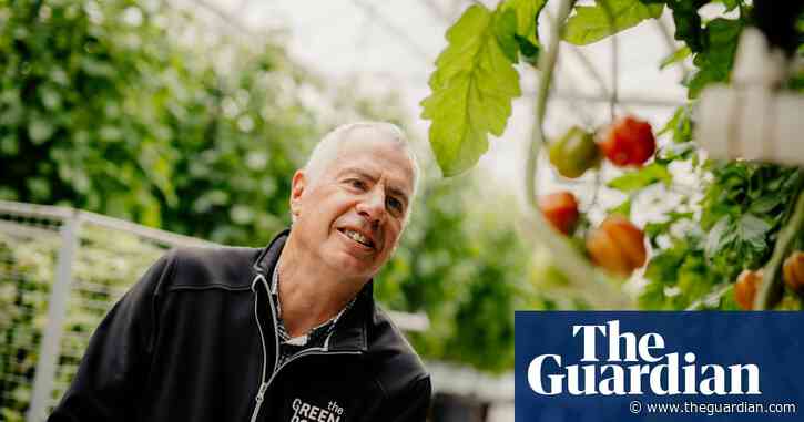 ‘There will be fewer British tomatoes on the shelves’: soaring energy costs force growers to quit