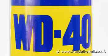 People share funny guesses as they try to figure out what WD-40 stands for