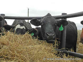 Prospective Plantings – 2023 Hay Acreage