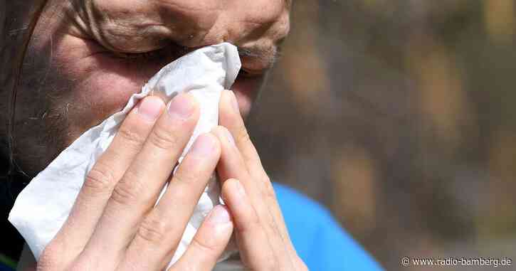 KKH: Zahl der heuschnupfengeplagten Menschen steigt
