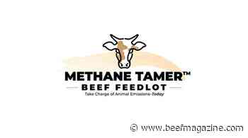 CH4 Global launches Methane Tamer Beef Feedlot formulation