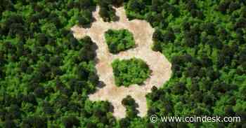 Could Bitcoin Be the Greatest ESG Investment of All Time?