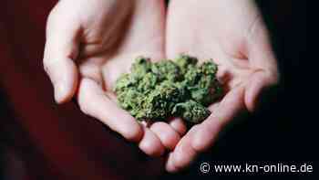 Wieso die Cannabis-Freigabe für den kommerziellen Markt scheiterte