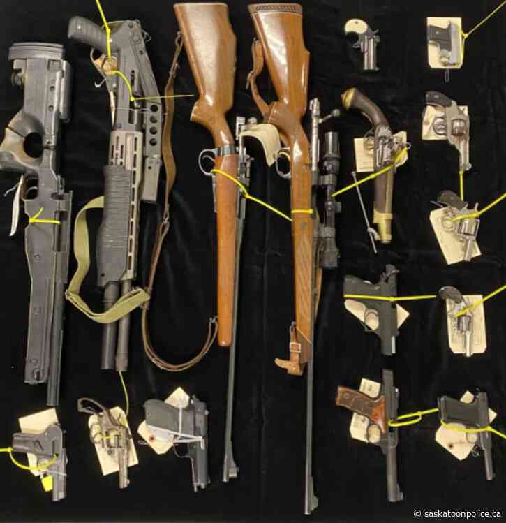 Update - 2023 SACP Firearm Amnesty Results