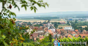 Dettelbach: Stadt eröffnet Wandersaison - Wein, Alpakas, Deko und Co.