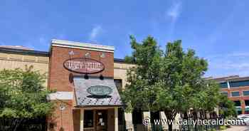 Durty Nellie's owners plan to tear down iconic nightspot in downtown Palatine