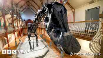 Two in court after Dippy the Diplodocus protest