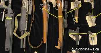 Hundreds of guns collected in Sask. police firearm amnesty program