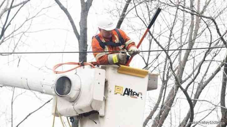 Extended power outages raise questions about resilience of Quebec’s power grid