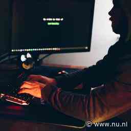 Bijna alle Nederlandse verdachten in wereldwijde cybercrimezaak op vrije voeten