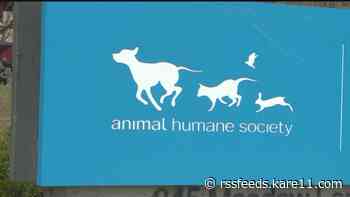Canine flu outbreak confirmed in Animal Humane Society shelters