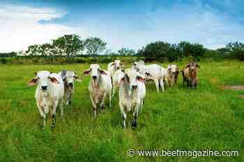 USDA-ARS now stewarding the Rangeland Analysis Platform