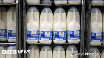 Tesco cuts milk prices after wholesale costs fall
