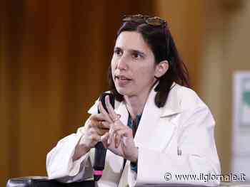 "Mercato degradante". Femministe contro l'utero in affitto, ma Schlein tace