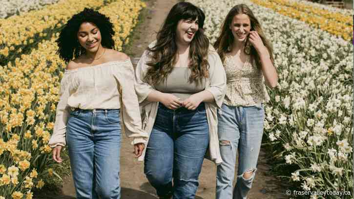 Chilliwack Tulip Festival opens next week