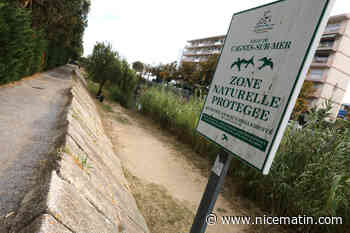 Groupe de travail, sensibilisation, actions sur le terrain... Comment un projet local compte s’organiser pour préserver la Cagne et ses abords