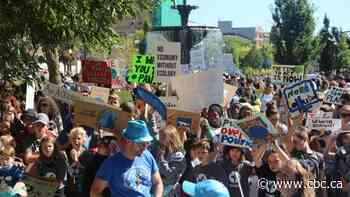 Youth-led plan plots course to get Hamilton's carbon emissions to 'actual zero'