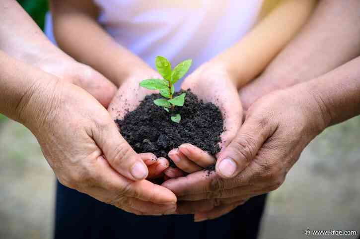City of Rio Rancho holding tree seedling giveaway on April 15