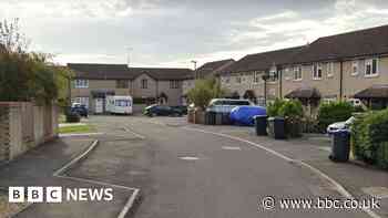Calne: Inquest set for girl, 3, hit by van