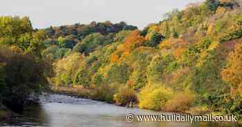 Over 3,000 'monster' sewage dumps into rivers and seas last year