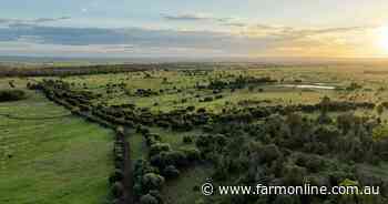 The Rimrock delivers backgrounding, finishing and breeding | Video