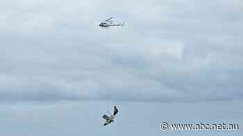 Calls for better emergency access to WA's Abrolhos Islands as stricken plane winched from crash scene