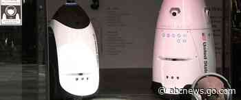 RoboCop? No, RoboDog: Robotic dog rejoins New York police