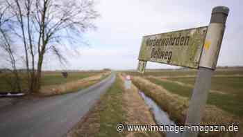 Northvolt: Peter Carlsson feilscht um die Gigafabrik in Heide