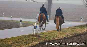 Pferde im Straßenverkehr – Sichtbarkeit und Sicherheit von Tier und Reiter