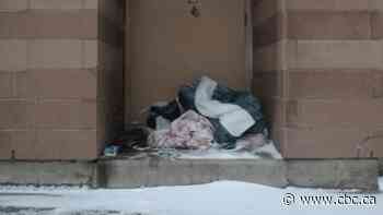 Hamilton becomes latest Ontario city to declare state of emergency over homelessness, other crises